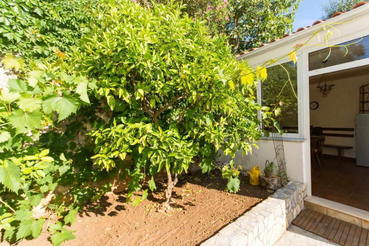 טרוגיר Apartments Bluesky מראה חיצוני תמונה